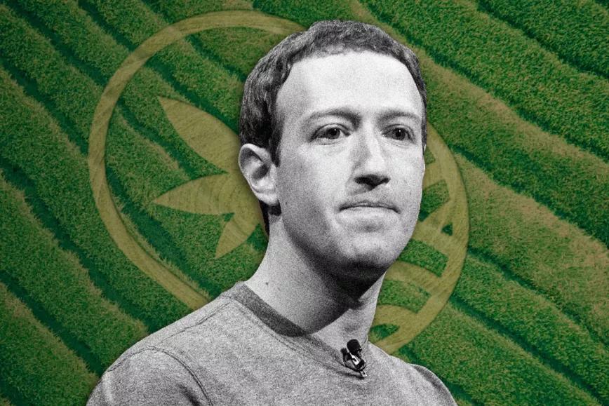 Demandan a Zuckerberg por el supuesto apoyo de Facebook al fraude de Juicy Fields