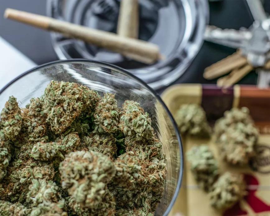 Detienen a tres personas por montar una asociación de cannabis 