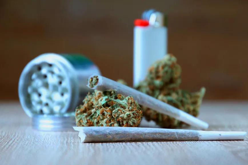 Uruguay bate récord de ventas de cannabis tras lanzar una nueva variedad más potente