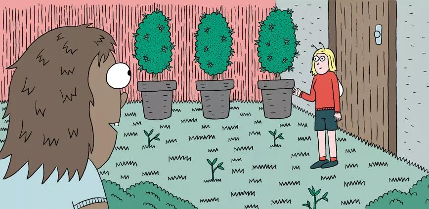 Siembra en diciembre: doce trucos y consejos 