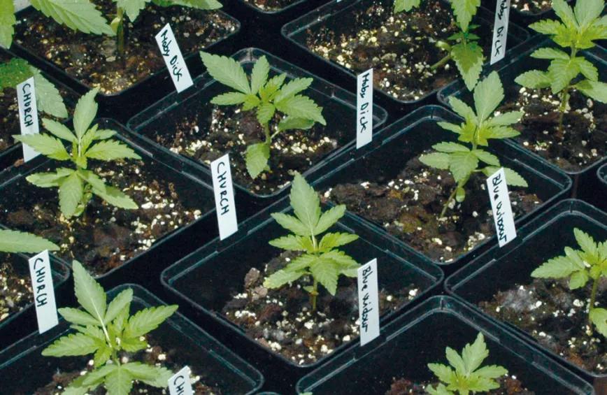 Si el clima no es muy frío con este tamaño, ya pueden salir al exterior. 