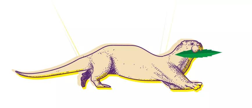 Observatorio Norteamericano Adiós 2022