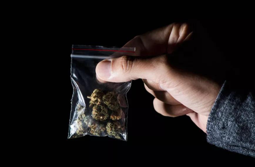 El 40% de las compras de cannabis en Canadá se realizan fuera del mercado legal 