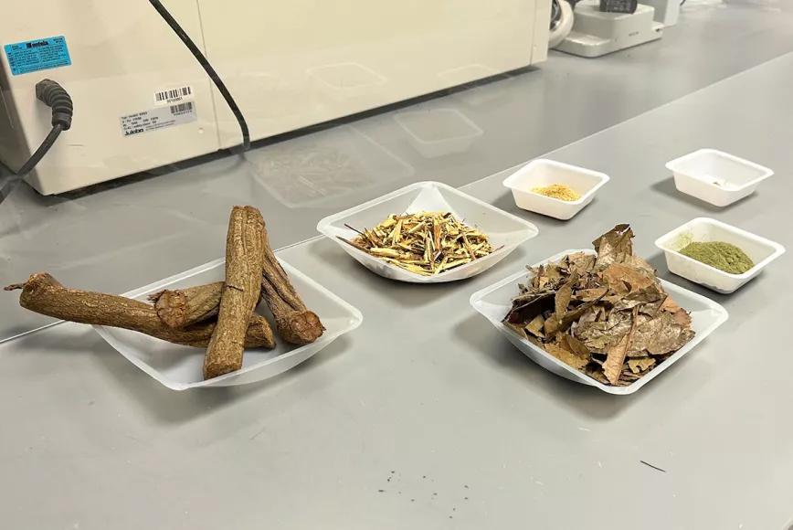 Una empresa intenta fabricar una píldora de ayahuasca 