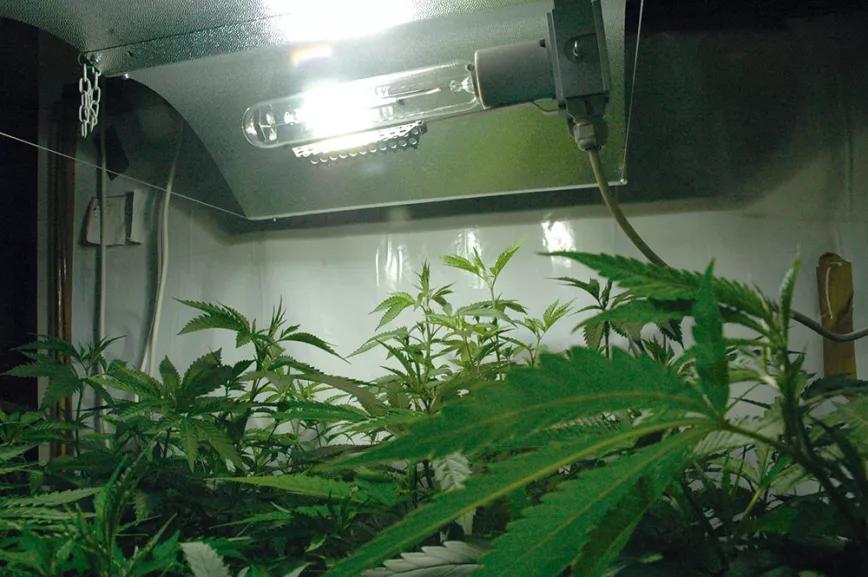 LDI, un concepto casi mágico 