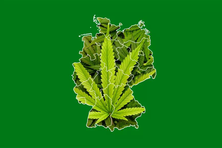 Alemania plantea retrasar la legalización de la venta de cannabis y priorizar la despenalización 