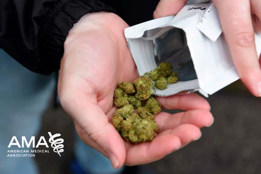 La legalización del cannabis no aumenta los casos de psicosis según la Asociación Médica Americana 