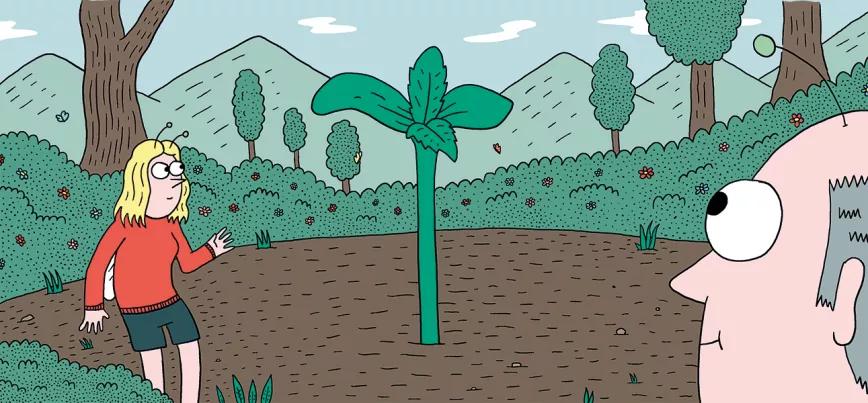 El inicio de la temporada: calendario de germinación para tener éxito