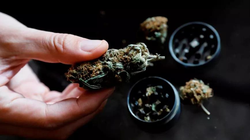 Malta reduce las tasas para la apertura de clubs de cannabis