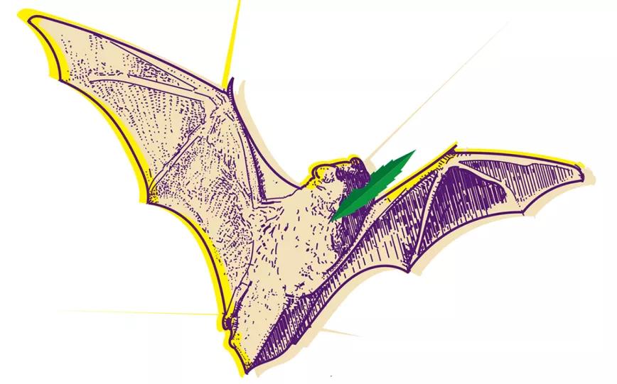 AUSTIN, TEXAS: ¿OASIS O VANGUARDIA?