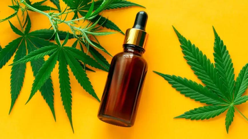 Hoy llega al Congreso la petición para regular el cáñamo industrial y el CBD en España