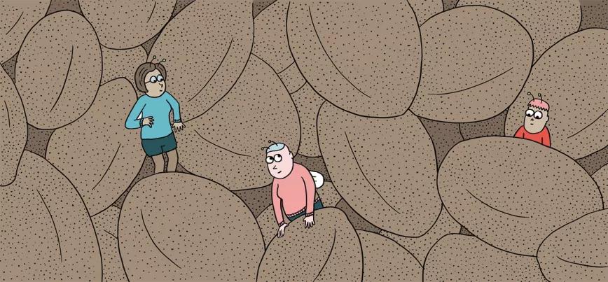 Diez consejos para escoger semillas