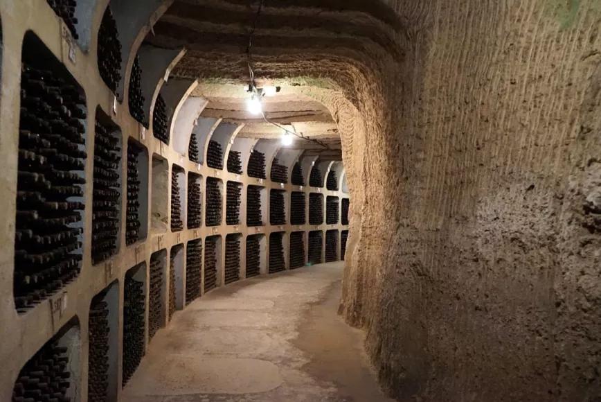 Un porro a la sombra de Putin