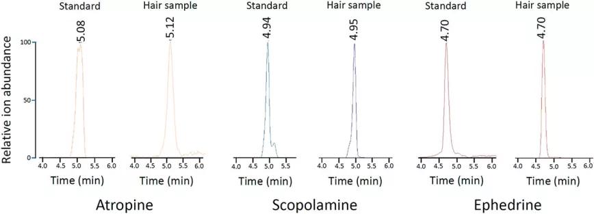 Los habitantes de Menorca ya se drogaban con plantas hace 3000 años