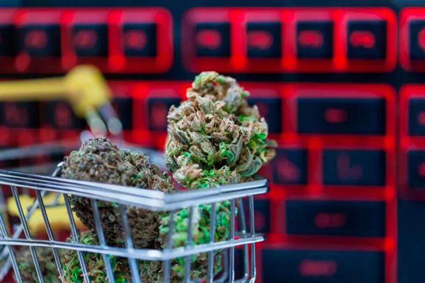 Los estadounidenses ya gastan más en cannabis legal que en chocolate o cerveza