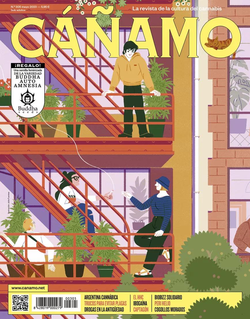 Cáñamo 305_Portada Julio Fuentes
