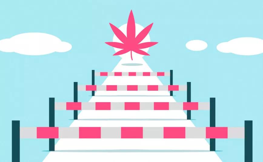 El PSOE como obstáculo Editorial Cáñamo #305