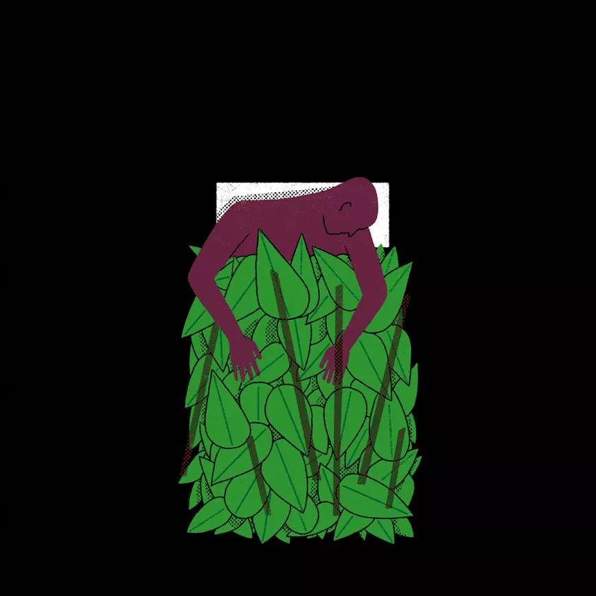 Ayahuasca y cuidados paliativos en el cáncer Ilustración Martin Elfman