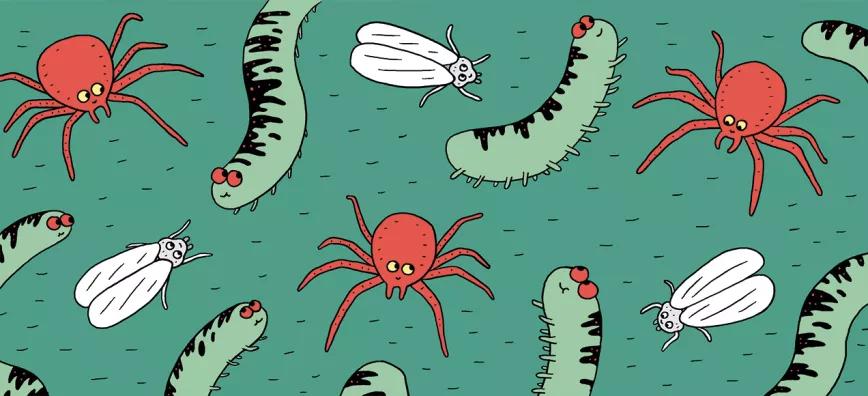 Cómo prevenir los bichos: diez trucos para evitar plagas 