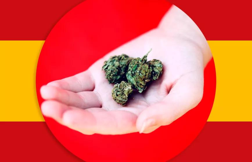 Las diferentes estrategias para legalizar el cannabis en España
