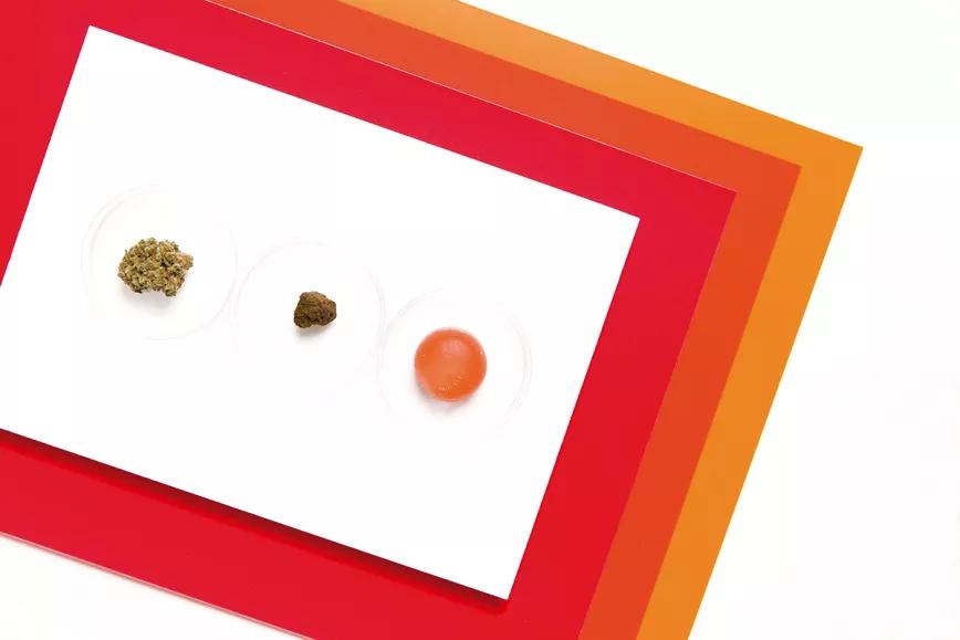 ¡El HHC ya está aquí! 