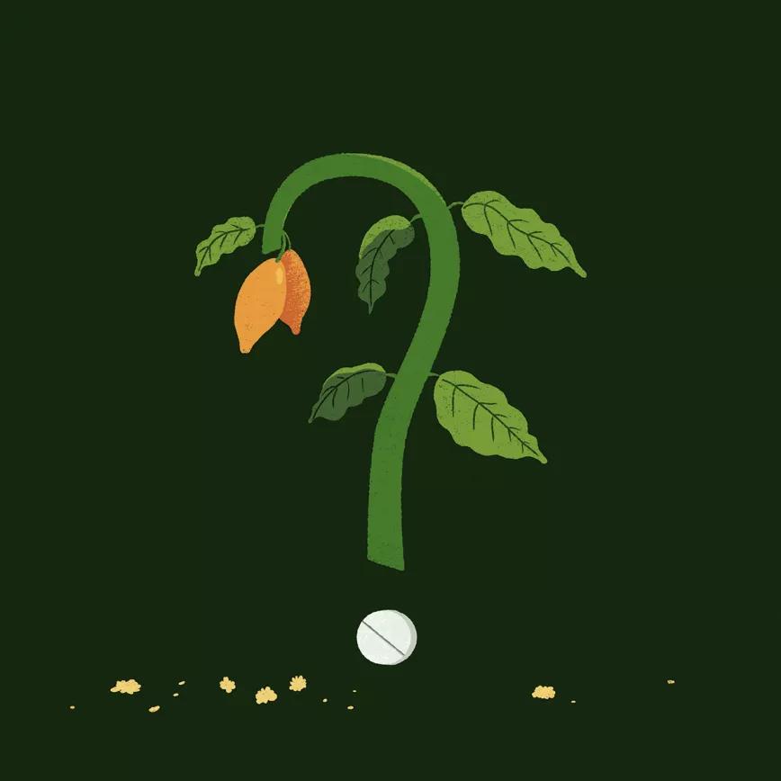 Ibogaína en el tratamiento del trastorno por uso de drogas 