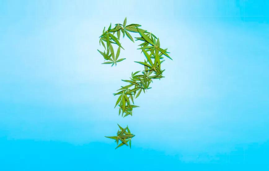 Se ha ido a pique la regulación del cannabis medicinal en España