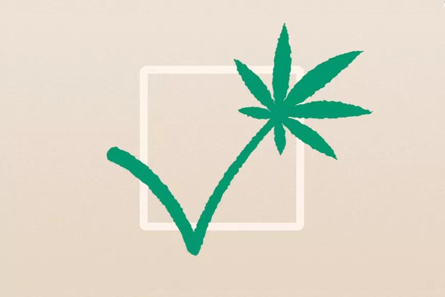 De la absolución a la regulación Editorial Cáñamo #307