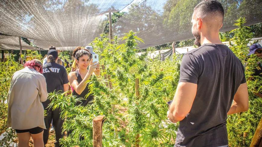 Paraguay reivindica el cannabis legal en la feria de Asunción