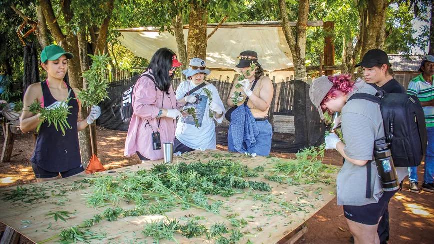 Paraguay reivindica el cannabis legal en la feria de Asunción