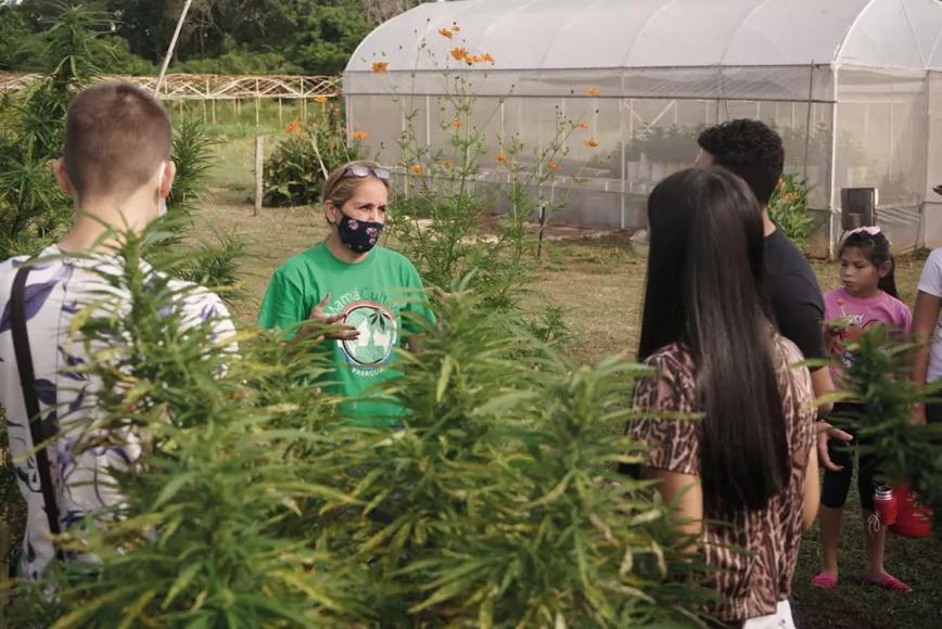 Paraguay reivindica el cannabis legal en la feria de Asunción