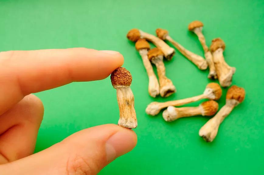 Australia pone en marcha las recetas de MDMA y psilocibina 