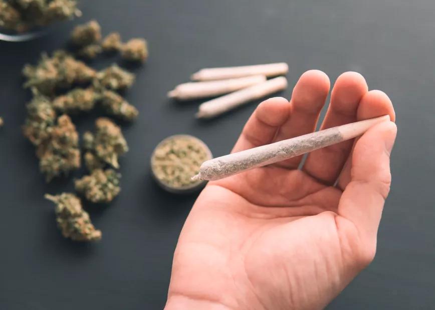 Un juez anula el cierre de un club de cannabis en Tarragona