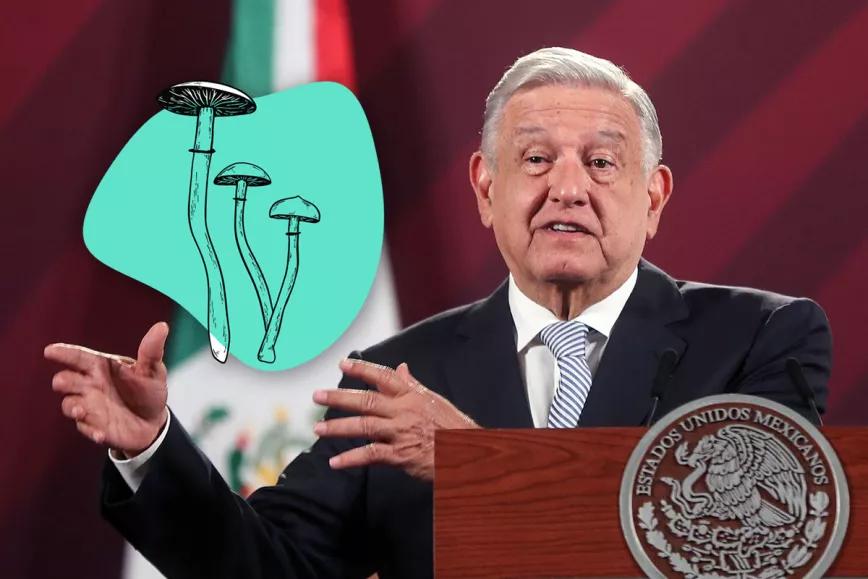 El presidente de México dice apoyar el reconocimiento del uso tradicional de hongos alucinógenos