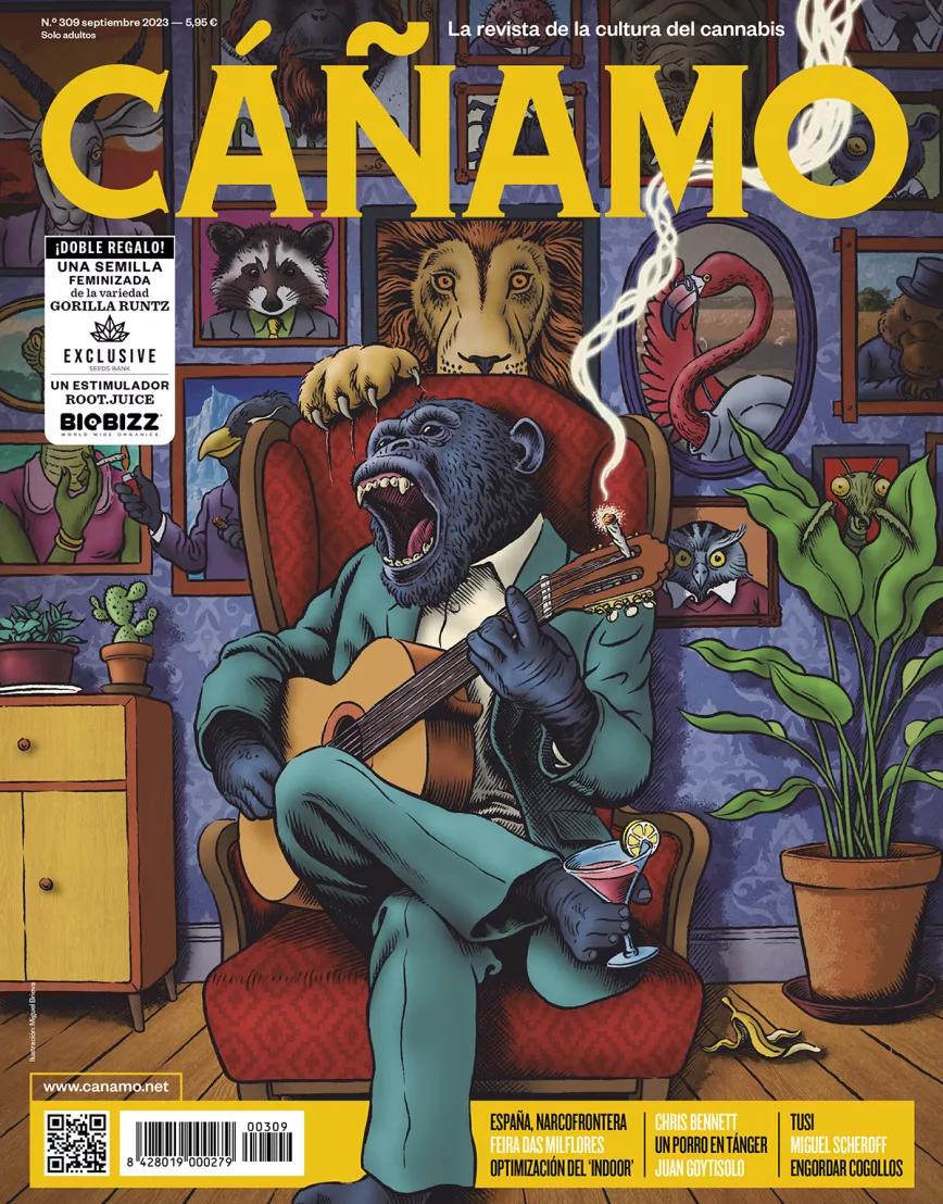 Cáñamo 309 Septiembre 2023