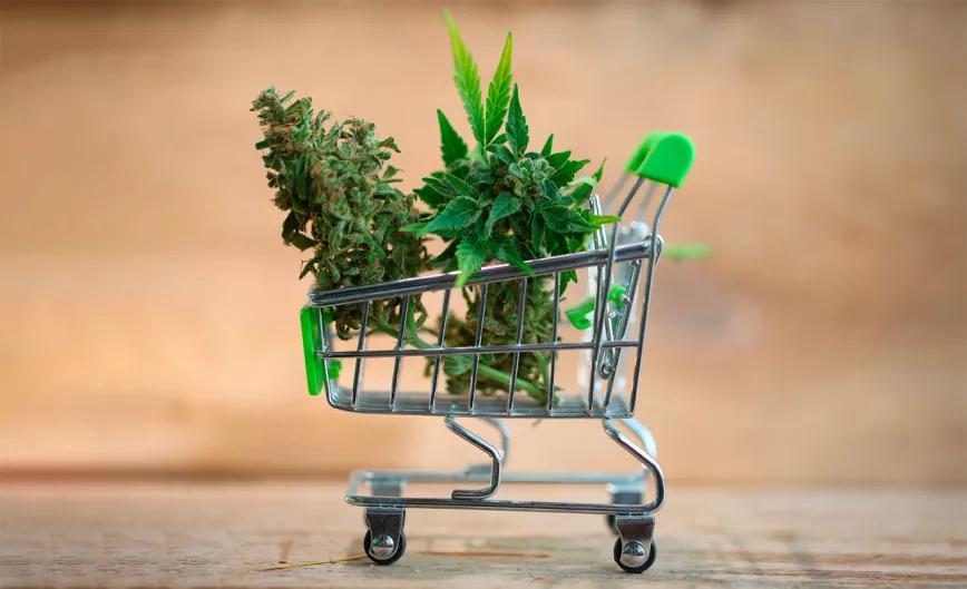 Nueva York permite la entrada de grandes empresas al cannabis dos años antes de lo prometido