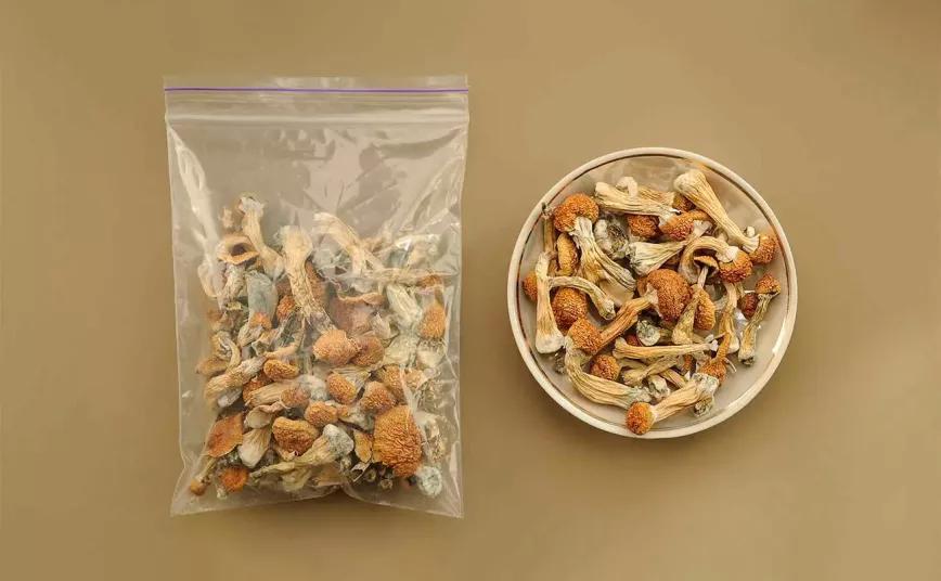 Oregón ya tiene 10 centros para tomar hongos mágicos legalmente