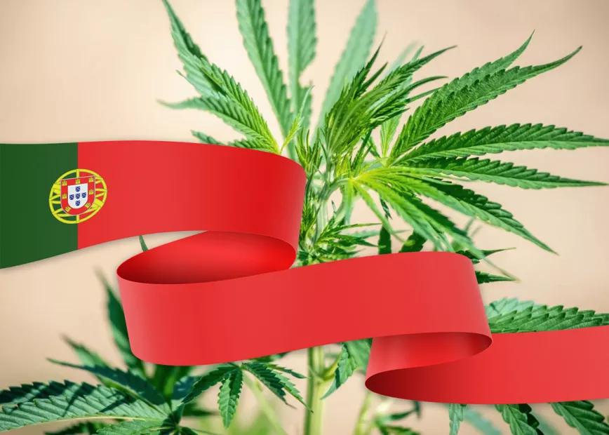 Los socialistas portugueses anuncian un proyecto de legalización del cannabis 