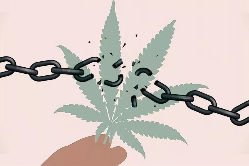 El fin de la tolerancia cero. Editorial Cáñamo #311