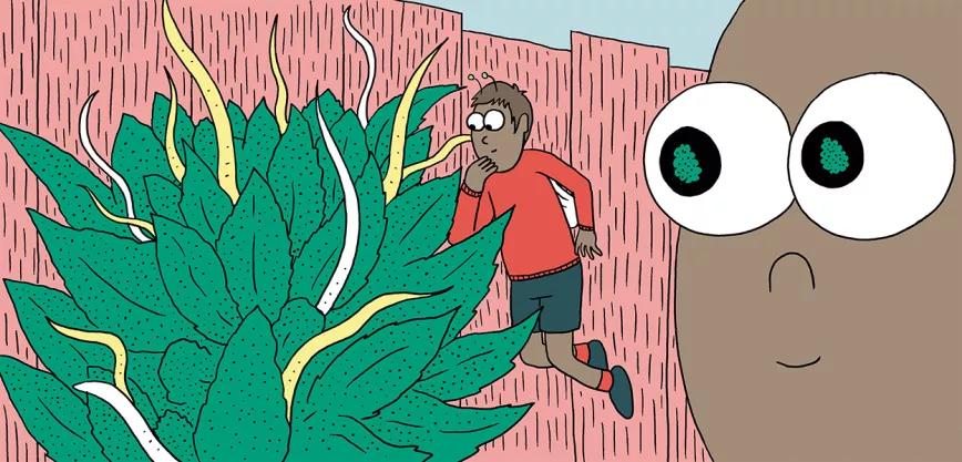 Diez trucos para lograr la mejor cosecha 