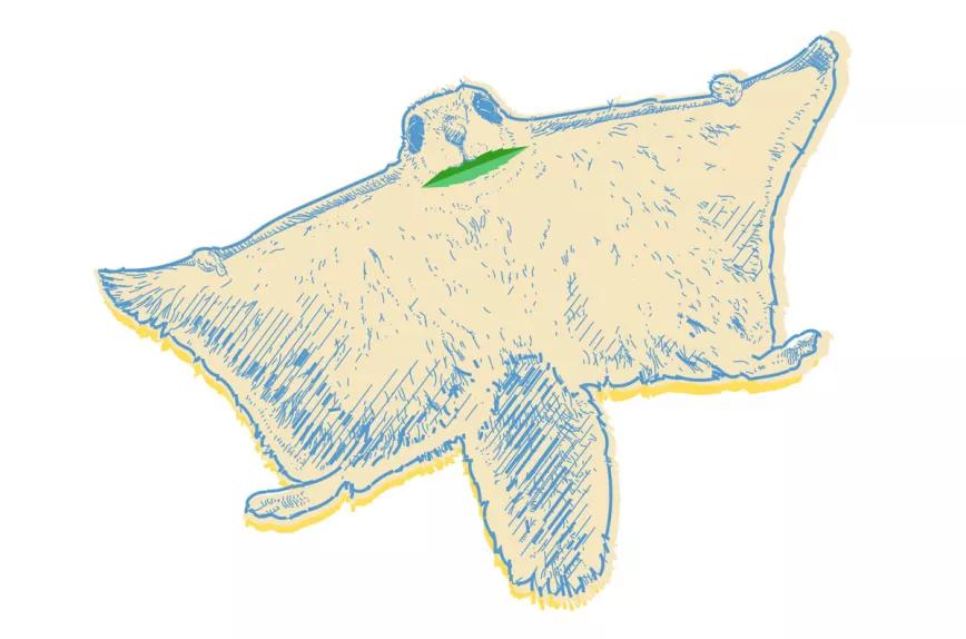 Ohio se dispone a legalizar 