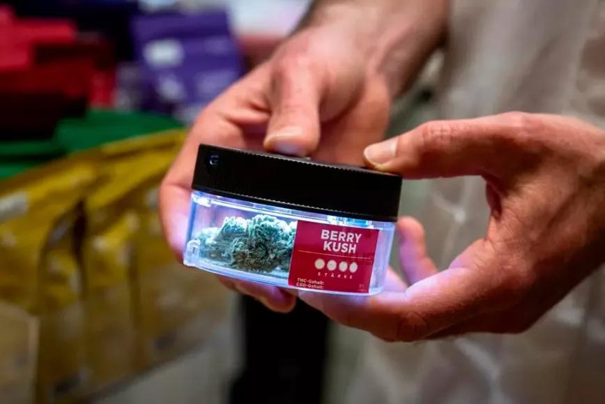 Los usuarios de cannabis suizos ya pueden inscribirse para fumar en el programa de Berna y Biel 