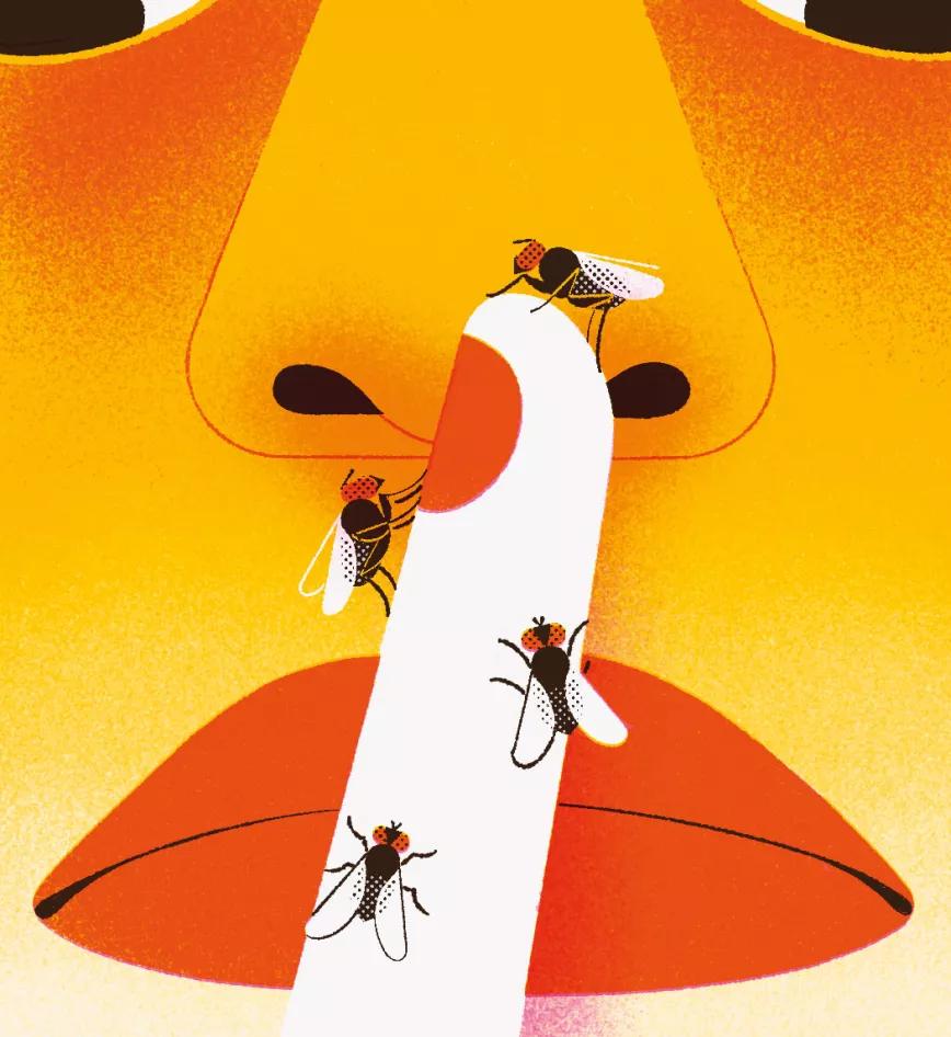 ¿Es perjudicial no declarar en un juicio?