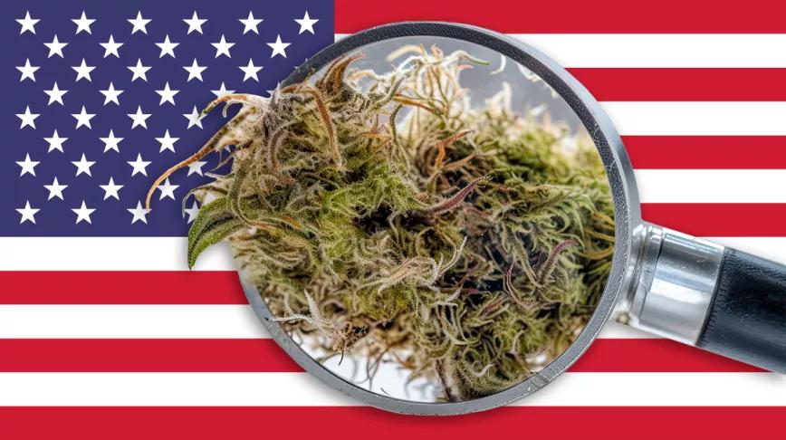 250 páginas de documentos: la justificación de EE UU que reconoce el valor médico del cannabis