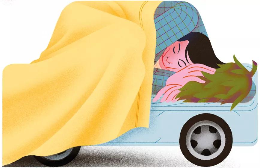 Registro de vehículo