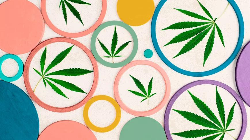 Todos los detalles de la ley para legalizar el cannabis en España presentada por Podemos