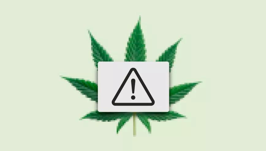 Las tareas del nuevo Gobierno. Editorial Cáñamo 313