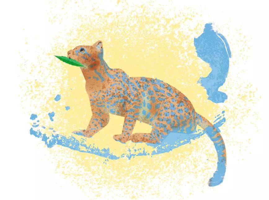 El negocio de maría, un consejo para Claudia 