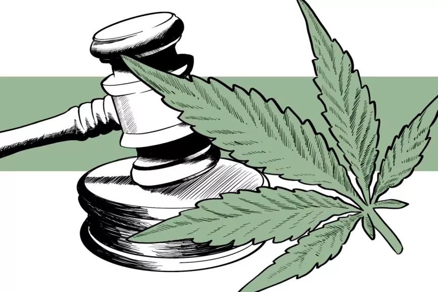 La Justicia de Bilbao declara inocente a una persona que fue detenida con 61 kilos de cannabis