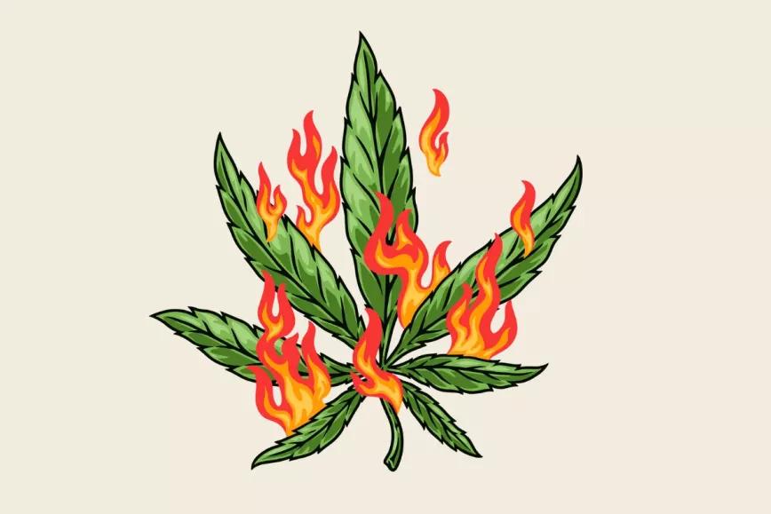 Destrucción de la sustancia